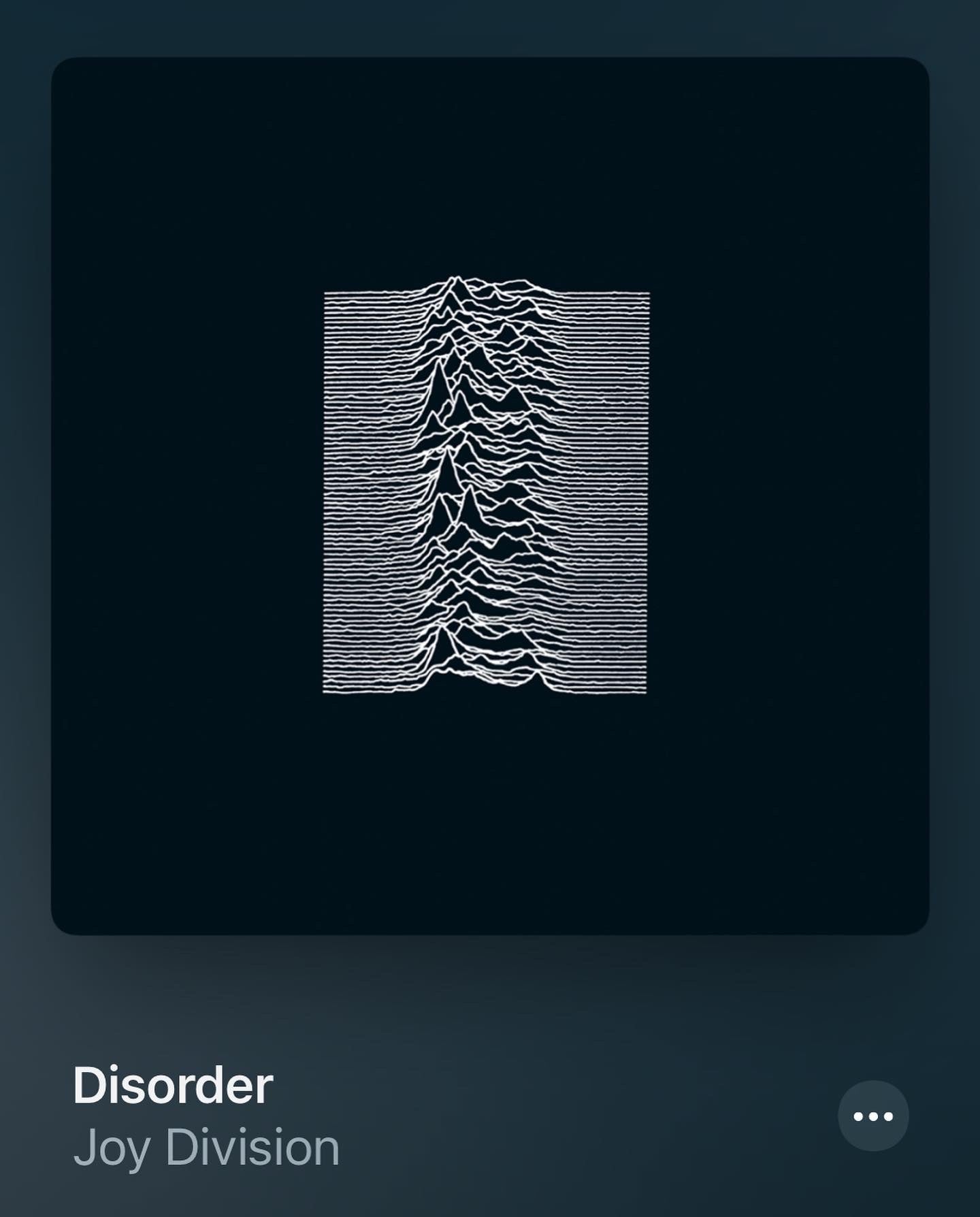 AW09 Undercover Joy Division Unknown Pleasures Zip Up Hoodie