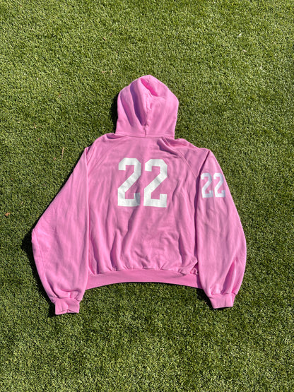 FW22 360* Snowstorm - Balenciaga Polo Pink Zip Up Hoodie