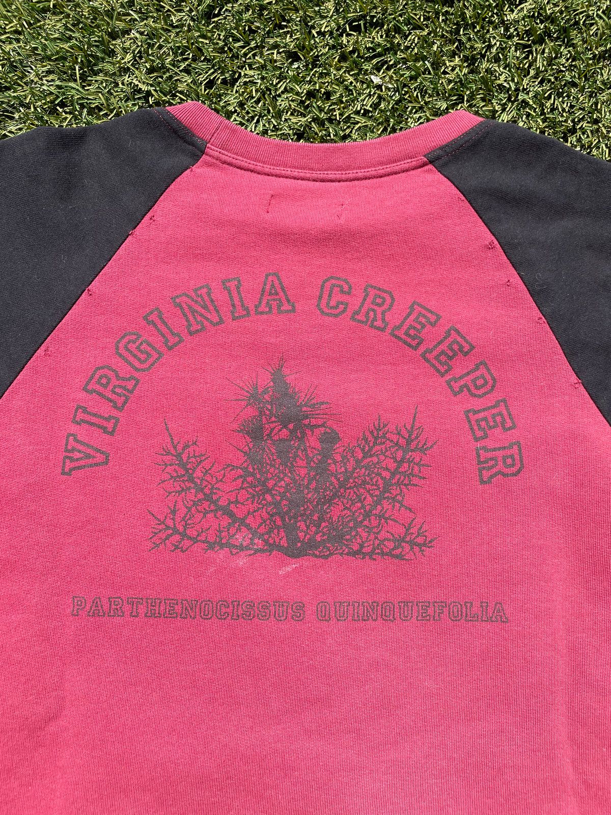 Raf Simons Redux ‘Virginia Creeper’ Raglan Short Sleeve Sweater