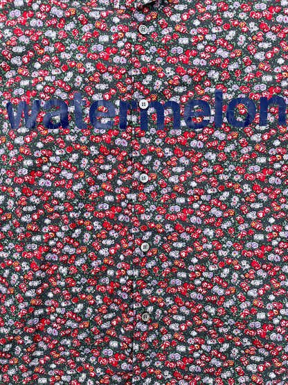 AD2001 Junya Watanabe Watermelon Shirts 🍉