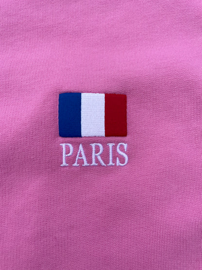 FW22 360* Snowstorm - Balenciaga Polo Pink Zip Up Hoodie